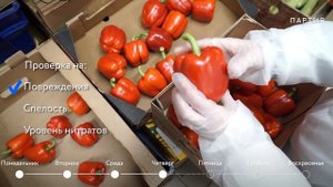 Производство «Партии еды»