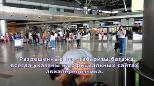 Путешествие начинается! Едем в Международный аэропорт Внуково.Инструкция для пассажиров в аэропорту