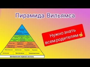 Пирамида Вильямса. Как вырастить здорового ребенка_ Почему ребенок не хочет учиться