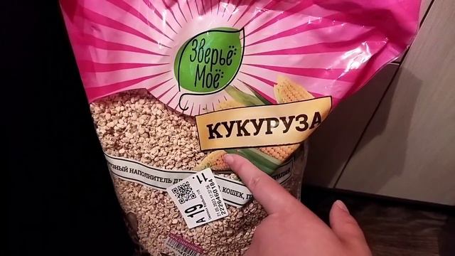 Покупки/ траты на крыс за май #моилюбимки #листиккексикмишутка #твимз #крысы #животные #ratslove смотреть онлайн