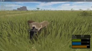 Roblox - Testing A | ''Successful wildebeest hunt and enjoying the feast''