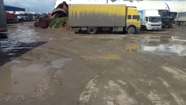 Дальнобойщица Девушка на фуре Ивеко Стралис паркуется