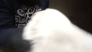 Обзор универсального очистителя от Leraton G1