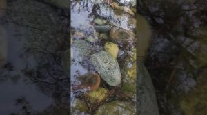 Мой крест - исцеляющие стихи