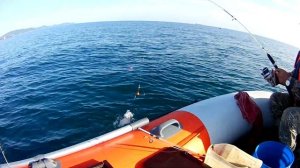 Троллинг симы и ловим камбалу.Охота рыбалка на Дальнем Востоке.