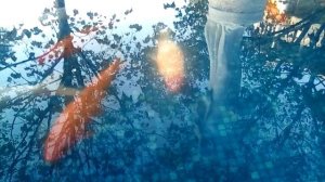 Геленджик. Фонтан с рыбками.