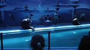 Качаем пресс.