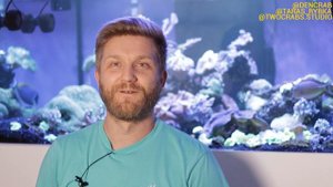 рыбки в морском аквариуме | перегрев морского аквариума | температура в аквариуме |рифовый аквариум