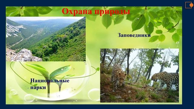 КАК СОХРАНИТЬ НАШУ ПРИРОДУ ???