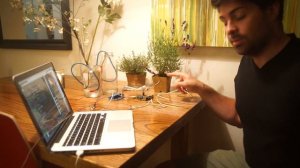 Raspberry Pi Automated Plant Watering with Website