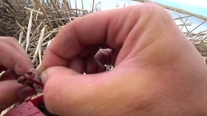 СГОРЕЛО ВСЁ! КРУПНЯК ПРЁТ В КАМЫШ! Ловля карася на поплавочную удочку ПОСЛЕ ПОЖАРА