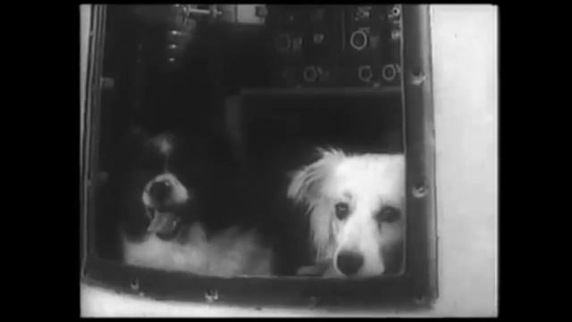 Фильм "Семья добрых дел и сердец" смотреть онлайн