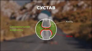 Би-Лурон - ортомолекулярный комплекс на основе гиалуроновой кислоты и хондроитин-сульфата