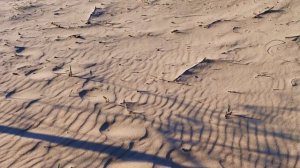 Куршская коса/Калининград