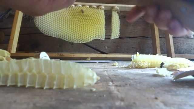 Вывод маток 2016 И такое тоже случается((( смотреть онлайн