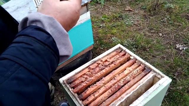 Правильная  вентиляция в улье, залог хорошей зимовки для пчёл.