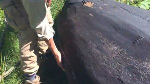 Испытание вездехода Бирюк в болотах возле Игловска