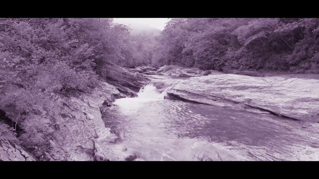 Страшная история на ночь | ПЯТЬ БУКВ АЛЬФА | Часть первая | Черный Рик