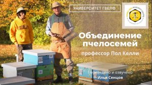 Объединение пчелосемей (Университет г.Гвелф, Канада)