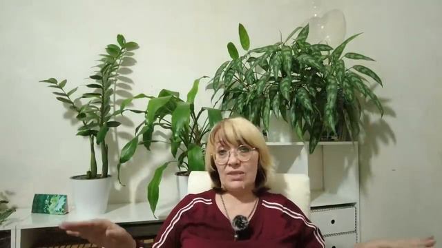 Почему управленцы и элита загнаны в угол, но не идут к советским за спасением? смотреть онлайн