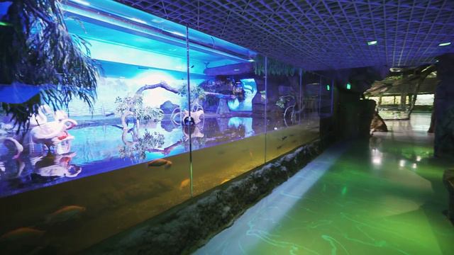 Крокус Сити Океанариум смотреть онлайн