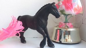 История имен моих лошадей schleich/ Шляйх