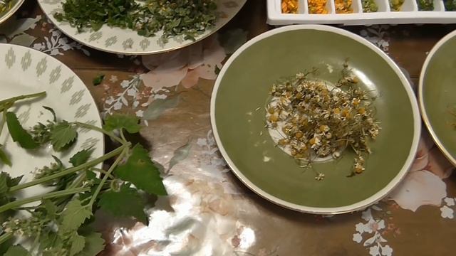 Заморозка цветочных кубиков льда для лица и чая. Рецепт ледяных кубиков