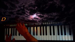 О чём поёт ночная птица  Никольский Cover