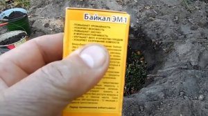 Как правильно подготовить яму для посадки фруктовых деревьев