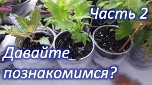 Знакомство со зрителями. Часть 1.mp4