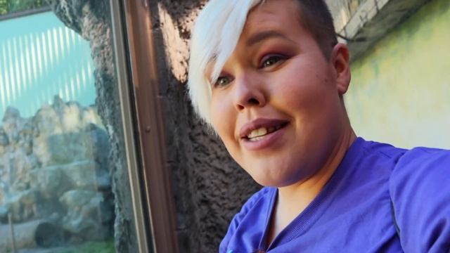 Ober Gatlinburg Wildlife Encounter - The Forever Home For Animals In The Smoky Mountains смотреть онлайн