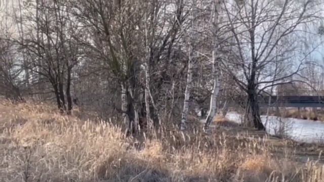 ПОЗОР! ЗА ДОНАТЫ ГОТОВЫ НА ВСЕ! ВИТАЛИК И АНГЕЛИНА.