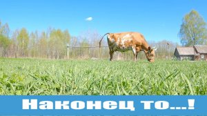 Насыщенные деньки деревенского хозяйства! Жизнь в деревне, весенняя суматоха!