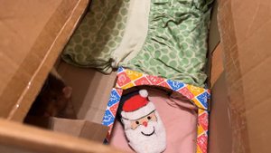 Домики для крыс из картона