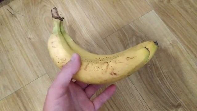 Мотыля больше не покупаю. Эта наживка 10 раз уловистее мотыля. Для рыбалки в глухозимье.