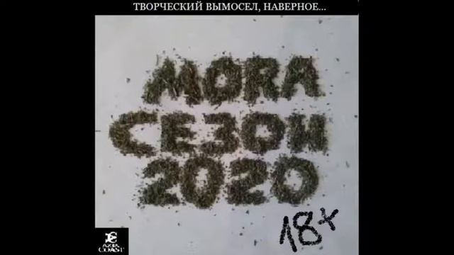 MORA-СЕЗОН 2020 ( Весь сборник) смотреть онлайн