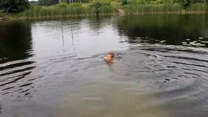 мастер класс по плаванию