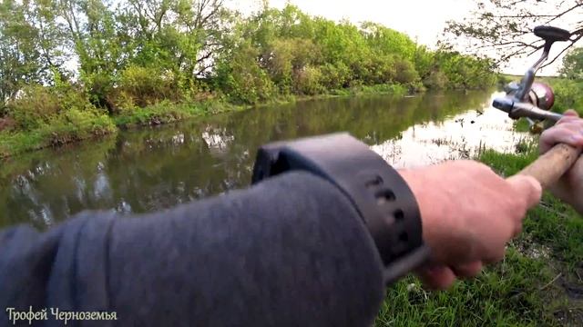 Попал на ЖОР ГОЛАВЛЯ перед нерестом! Ловля на спиннинг. смотреть онлайн