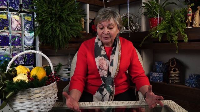 Анагаллис - Синее Море ? ПОСАДКА И УХОД ? Красивые цветы с Garden zoo смотреть онлайн