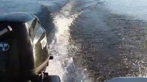 Лодочный мотор Tohatsu MFS 5 CSS 5 л.с. 4 такта, Тохатсу 5 + пластиковая лодка 3,63 метра.