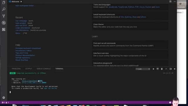 VueJS CLI: Basics | Level 3-3: Start up project with NPM