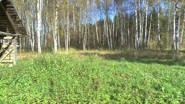 Тестирую видеокамеру Panasonic HC-X900M на штативе смотреть онлайн