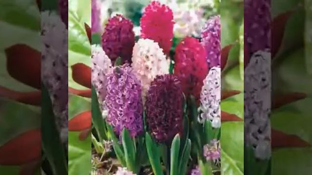 И радостного, счастливого декабря! Будьте здоровы, любите и будьте любимы!