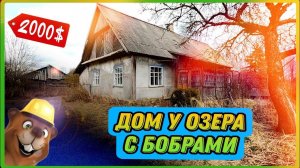 Хутор у озера. Обзор дома с бобрами. Тихое уютное место. Недвижимость на Браславских озёрах. #хутор