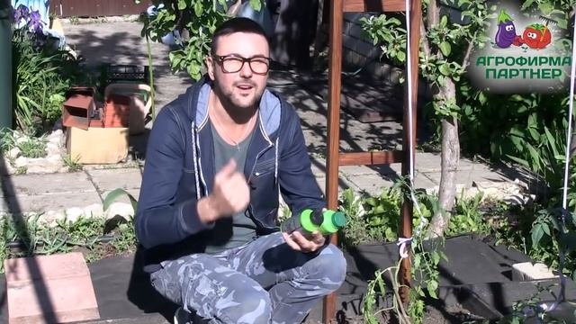 КАК ПОВЫСИТЬ ПЛОДОРОДИЕ ПОЧВЫ И УРОЖАИ?