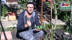 КАК ПОВЫСИТЬ ПЛОДОРОДИЕ ПОЧВЫ И УРОЖАИ?