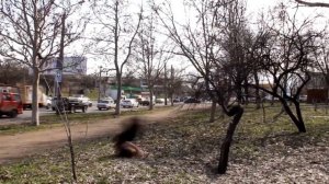 Все виды сальто!