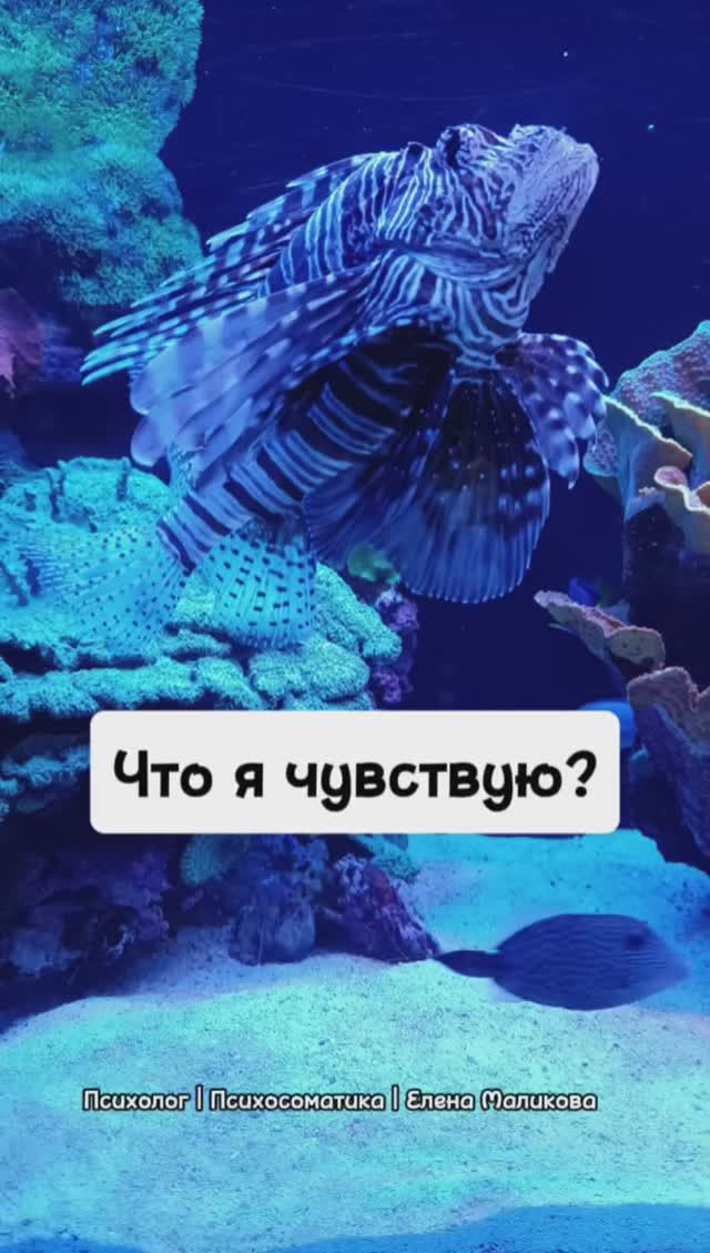 Что я чувствую?