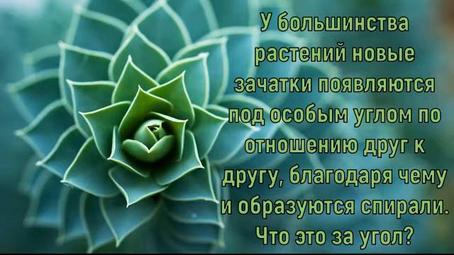 Числа Фибоначчи
