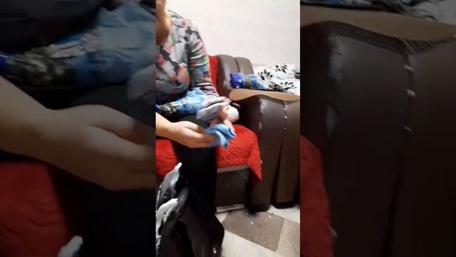 ???Покупки к зиме! Ура, бабушка приехала!!!??? смотреть онлайн